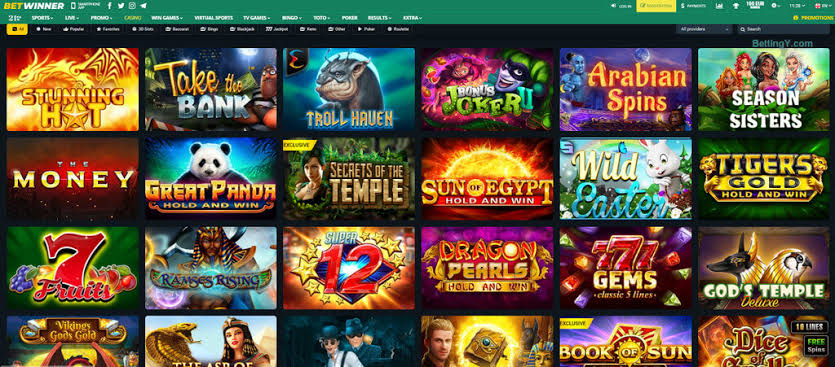 BetWinner Platform A Comprehensive Guide to Winning Bets
